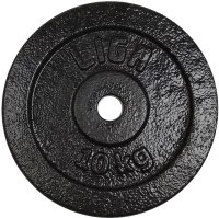 CAST IRON DISCS 10kg