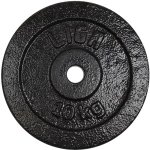 CAST IRON DISCS 10kg