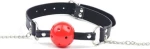 Mouth Gag With Nipple Clamps