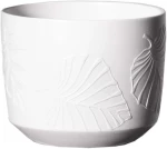 Κασπώ Κεραμικό 3560-8 14x14x12cm White Supergreens Κεραμικό