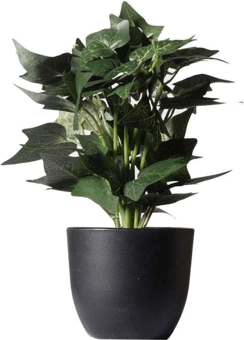 Τεχνητό Φυτό Κισσός Silver 7060-6 17x21x30cm Green Supergreens Πολυαιθυλένιο
