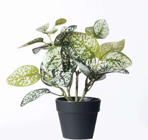 Τεχνητό Φυτό Πόλκα 7160-6 22x22x21cm Multi Supergreens Πολυαιθυλένιο