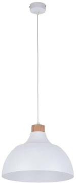 Φωτιστικό Οροφής Cap 2070 1xΕ27 15W Φ34cm 170cm White TK Lighting