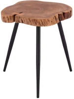 Τραπεζάκι Βοηθητικό Jax HM8202.11 38x40x48cm Ακακίας Natural-Black