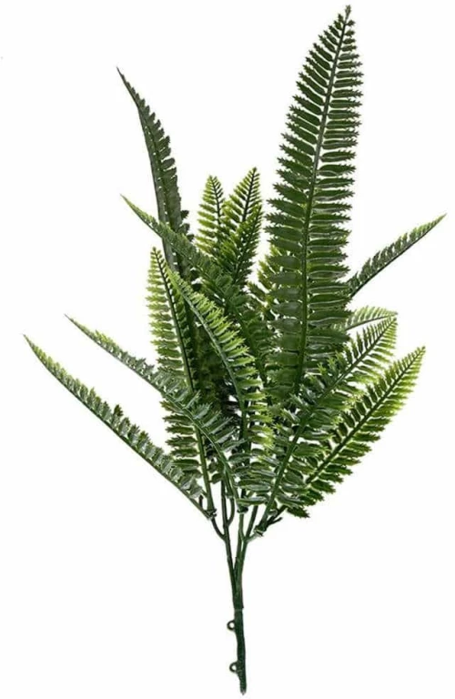 Μπουκέτο Διακοσμητικό W027 25-32cm Spleenwort Green New Plan Πλαστικό