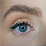 Sandstone - Eyeliner - Green / Beauty