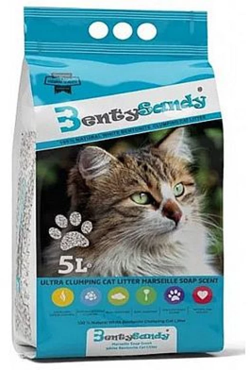Bentysandy  Bentysandy  Φυσική - 5lt