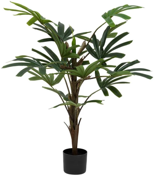 Bamboo πρασινάδα σε κασπώ 120εκ.