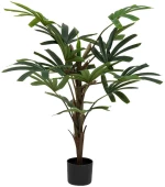 Bamboo πρασινάδα σε κασπώ 120εκ.