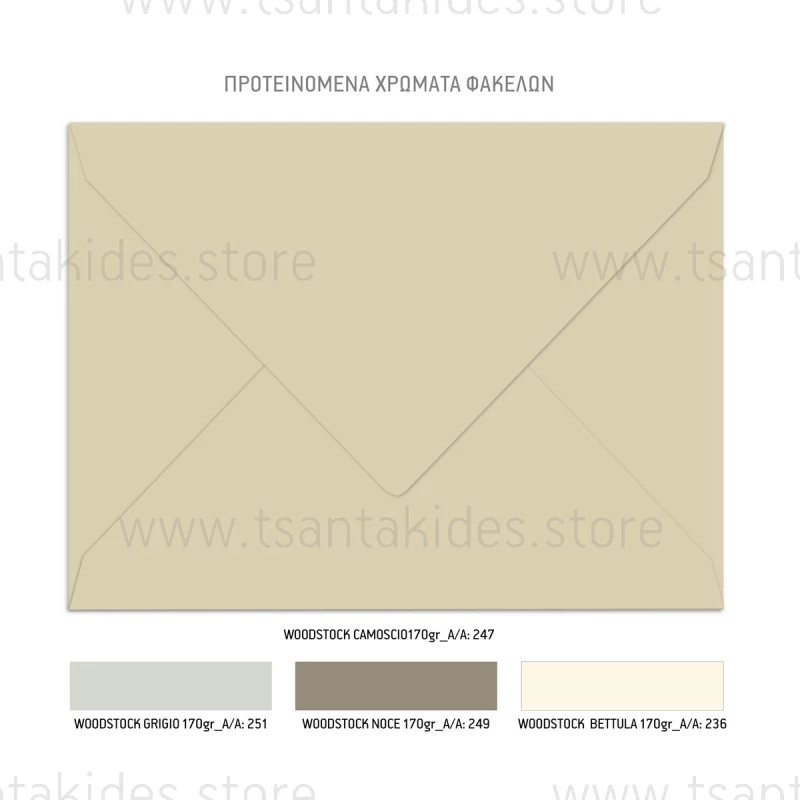 Προσκλητήριο βάπτισης - Μουσικά Ζώα TS571