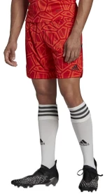 Goalkeeper shorts adidas Condivo 22 M H18814