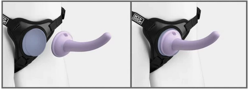 DILLIO - BODY DOCK VIOLET HARNESS