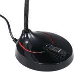 F12  ΜΙΚΡΟΦΩΝΟ PC