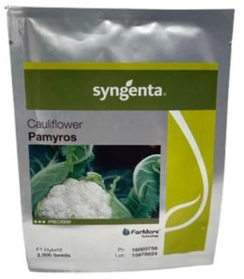 Κουνουπίδι Pamyros | 2500 σπόρων