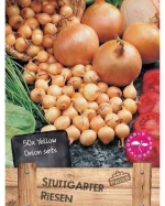 Κοκκάρι Στρογγυλό "Stuttgarter" 750gr