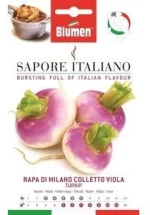 Ρέβα Πικάντικη Colleto Viola