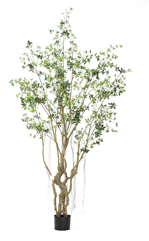 Supergreens Τεχνητό Δέντρο Φίκος Microcarpa Πράσινο 300 εκ.