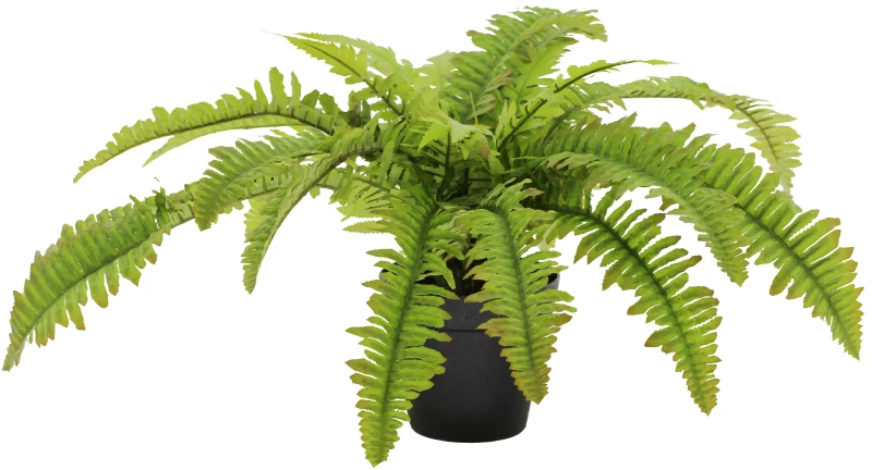 BOSTON FERN ΤΕΧΝΗΤΟ ΦΥΤΟ POLYESTER PE/PP ΠΡΑΣΙΝΟ H36cmINTHEBOX
