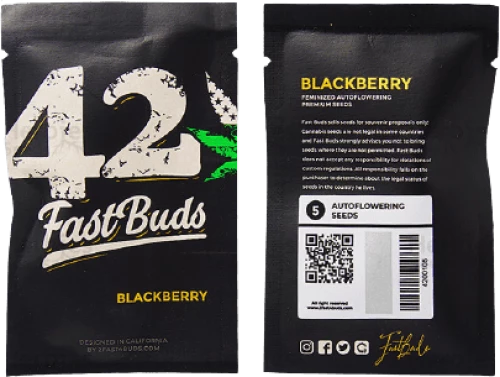 Fast Buds  Blackberry - 3 seeds