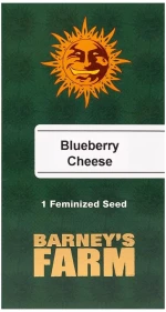 Barneys - Blueberry Chesse - 1 seed