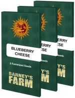 Barneys - Blueberry Chesse - 1 seed