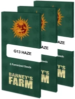 Barneys - G13 Haze - 5 seeds