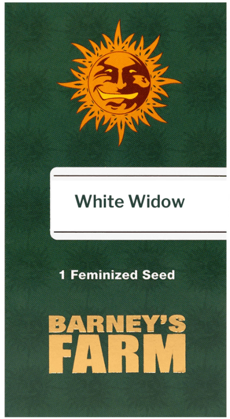 Barneys - White Widow XXL - 1 seed