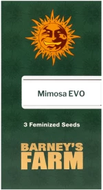 Barneys - Mimosa EVO  - 3 seeds