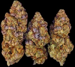 Barneys - Mimosa EVO  - 3 seeds