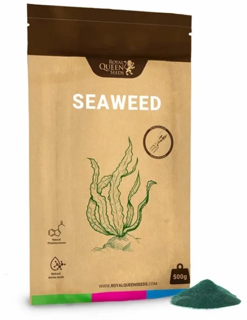 RQS Seaweed - 500gr