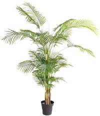 PALM TREE  NP5502_180_22   ΥΨΟΣ 180cm New Plan