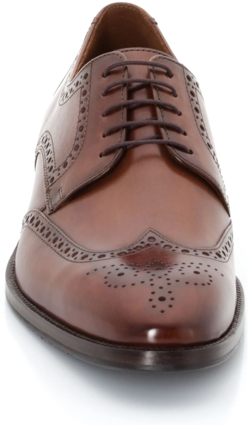 Derbies - Brogues Ανδρικά Lucien καφέ δέρμα LLOYD Καφέ Άνδρας Derbies 26-675-04