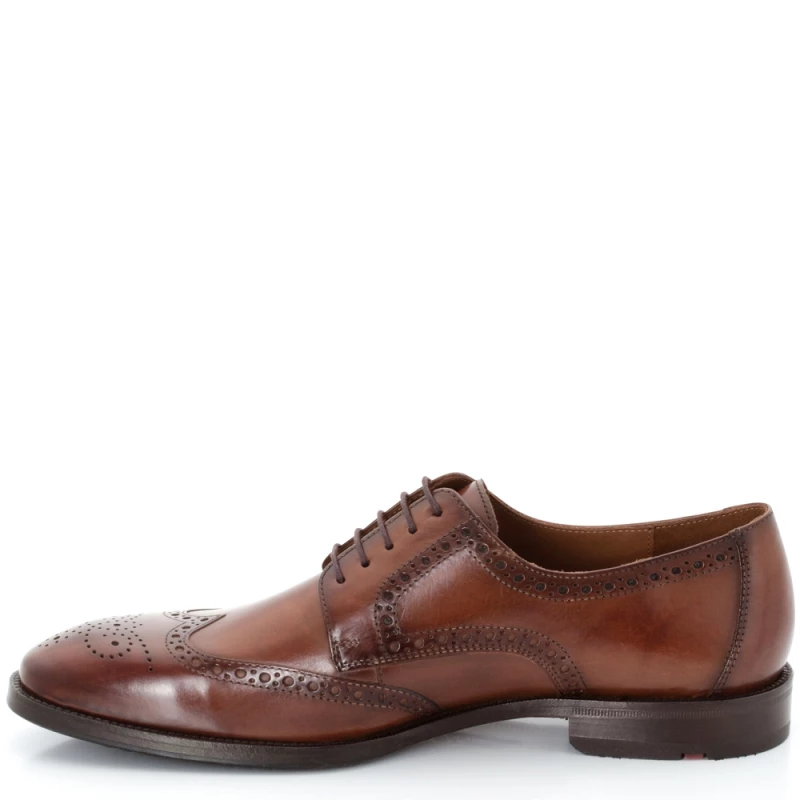 Derbies - Brogues Ανδρικά Lucien καφέ δέρμα LLOYD Καφέ Άνδρας Derbies 26-675-04