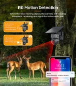 SECTEC smart ηλιακή κάμερα κυνηγού ST-517C  3MP  4G  PIR  PTZ  SD  IP65