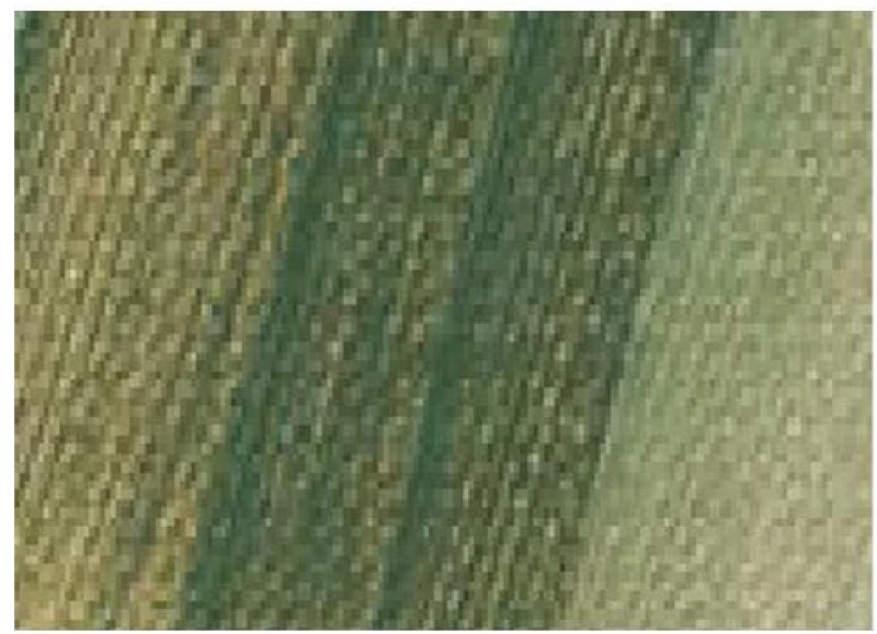 Σκόνη Αγιογραφίας EL Greco greenish earth/πράσινο γης 50gr