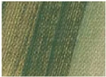 Σκόνη Αγιογραφίας EL Greco greenish earth/πράσινο γης 50gr