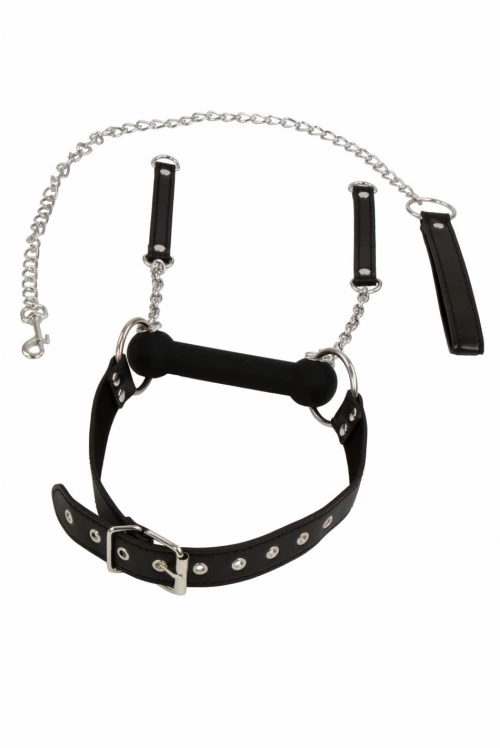 Bit gag + leash