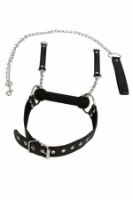 Bit gag + leash