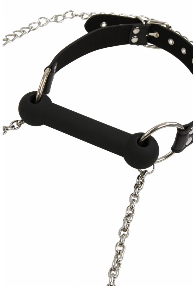 Bit gag + leash