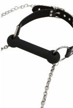Bit gag + leash