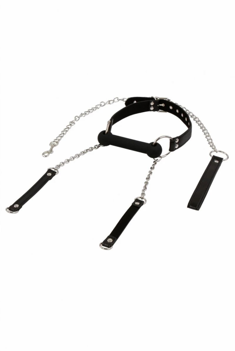 Bit gag + leash