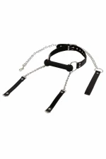 Bit gag + leash