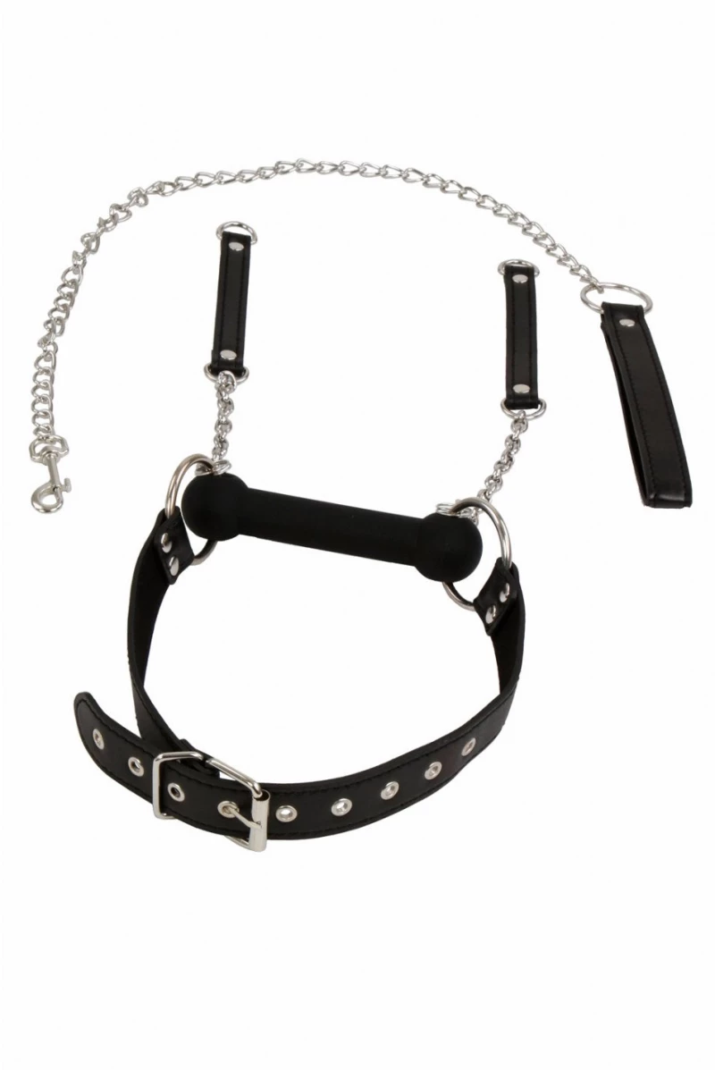 Bit gag + leash
