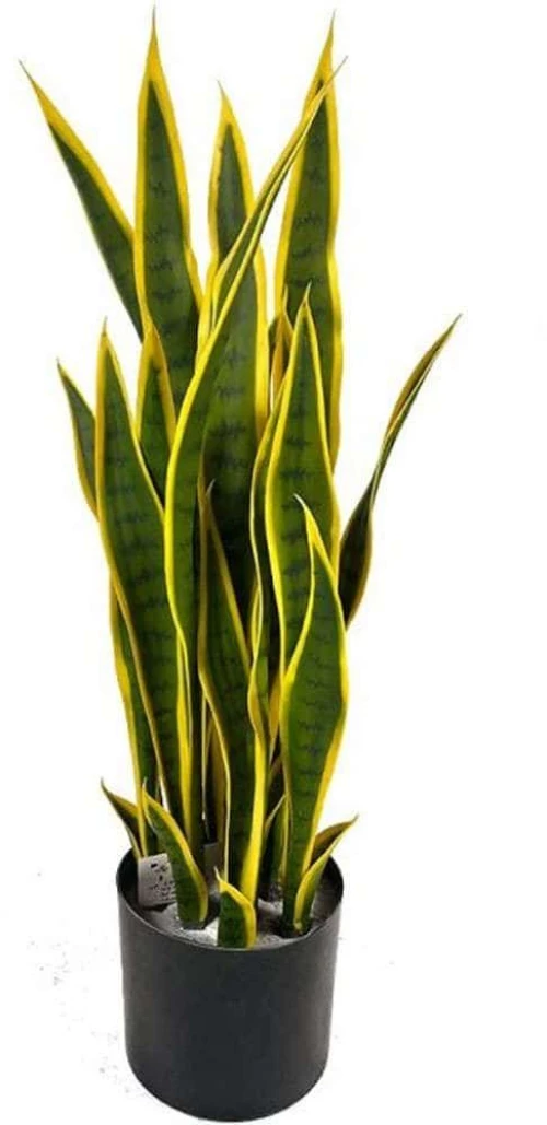 Τεχνητό Φυτό Σανσεβιέρα Trifasciata 6411-6 75cm Green-Yellow Supergreens Ύφασμα,Πλαστικό
