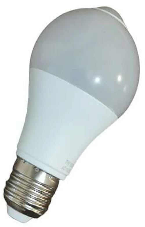 Έξυπνος λαμπτήρας  9W E27 6500K RZ-141