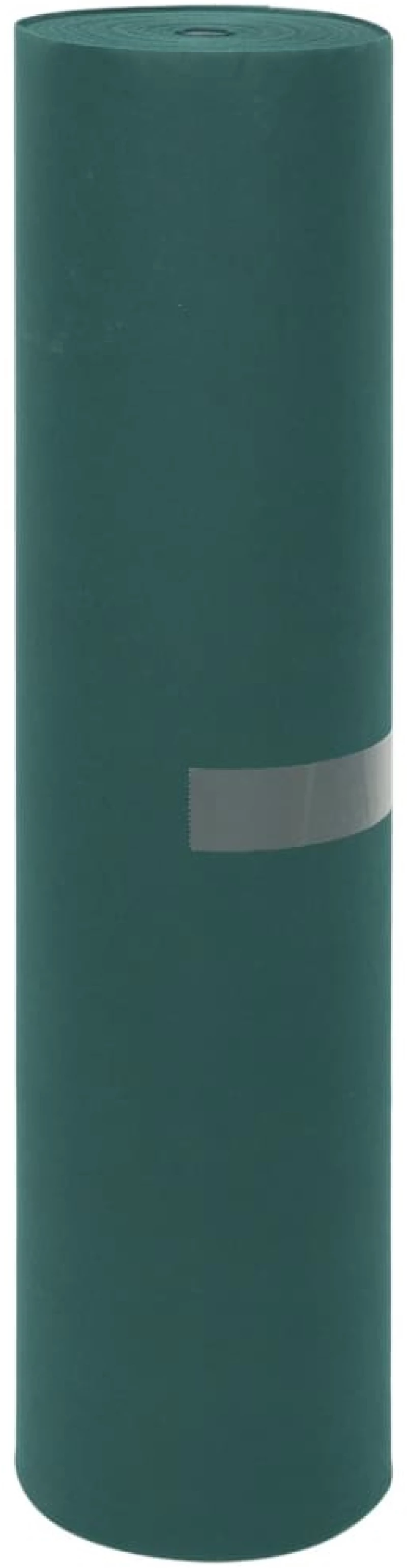 ΚΑΛΥΜΜΑ ΦΥΤΩΝ ΑΝΤΙΠΑΓΕΤΙΚΟ 70 ΓΡ./Μ² 50X1,6 Μ. 364862