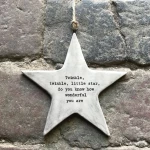 ΑΣΤΕΡΙ ΡΟΥΣΤΙΚ-TWINKLE WONDERFUL …