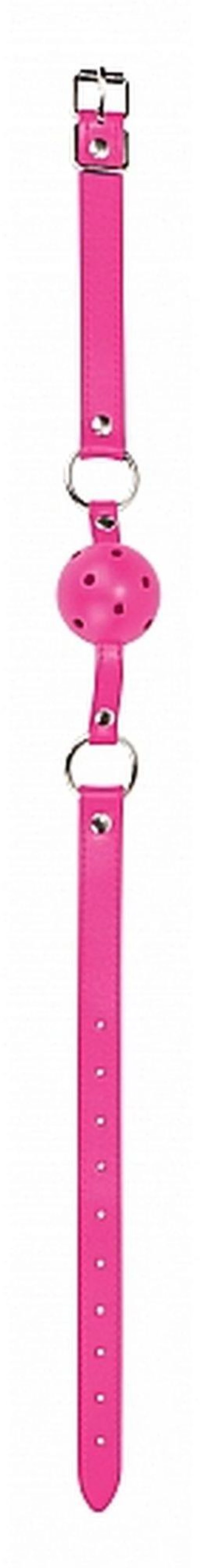 Gag Ball Pink