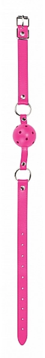Gag Ball Pink