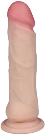 BACHUS 7"